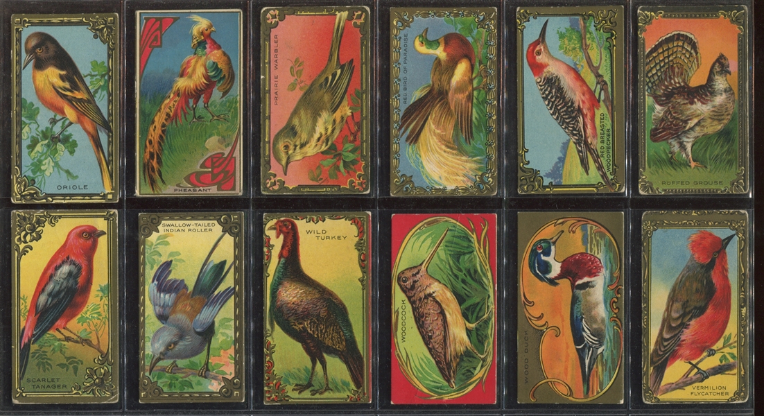 T43 Birds Gold Border Complete Set of (30) Cards