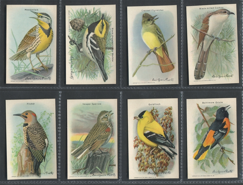 J9-6 Church & Dwight Useful Birds - 10th Series Complete Set of (15) Cards