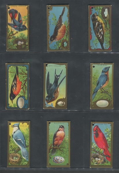 E226 Lowney's Bird Studies Near Complete Set (24/25) Cards