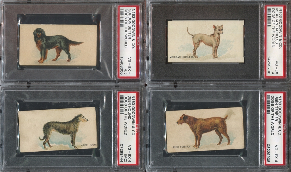 N163 Goodwin Dogs of the World Lot of (7) PSA-Graded Cards