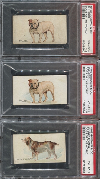 N163 Goodwin Dogs of the World Lot of (7) PSA-Graded Cards