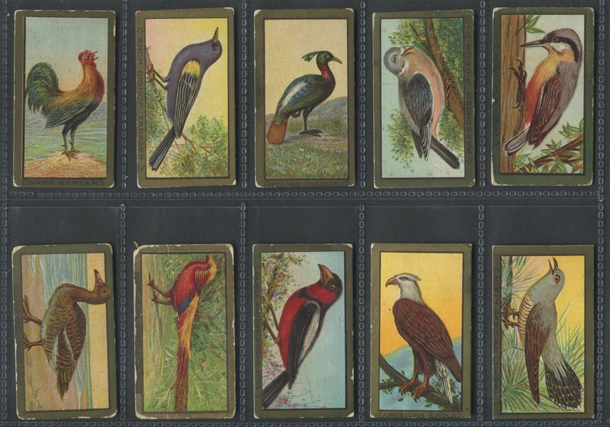 T42 Bird Series Gold Border Lot of (50) Cards with Tough Backs