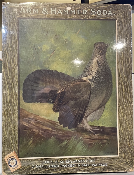 Early 1900's Church & Dwight Arm & Hammer Store Poster - Blue Grouse