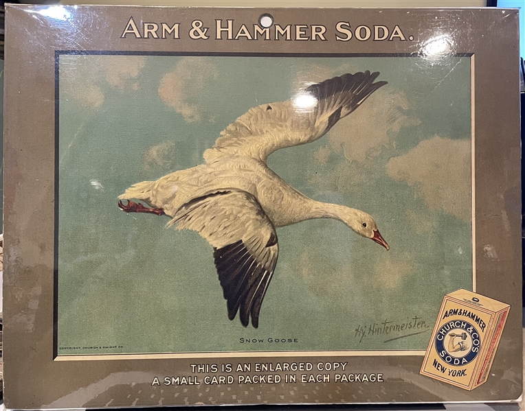 Early 1900's Church & Dwight Arm & Hammer Store Poster - Snow Goose