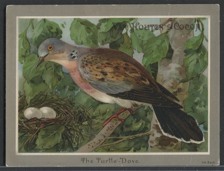 H695 Van Houten's Cocoa Aviary Lot of (4) Trade Cards