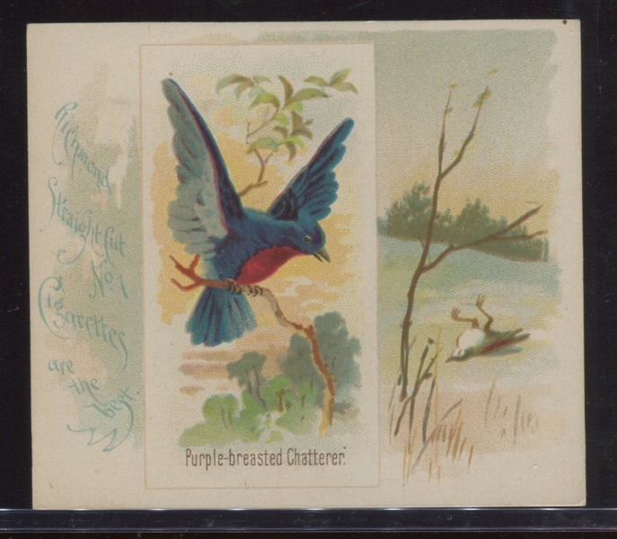 N42 Allen & Ginter Song Birds Lot of (3) Cards