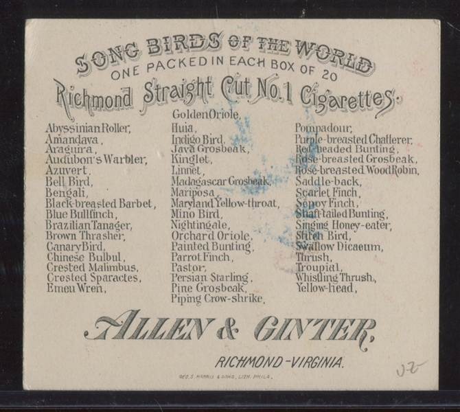 N42 Allen & Ginter Song Birds Lot of (3) Cards