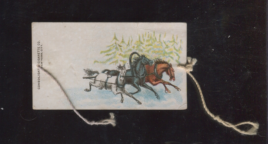 N354 Consolidated Turn Cards Sled Riders