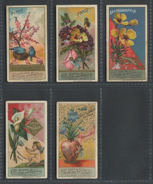 N366 Lone Jack Language of Flowers Lot of (5) Cards
