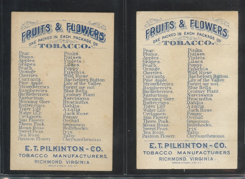 N569 Pilkington Fruits and Flowers Lot of (2) High Grade Cards