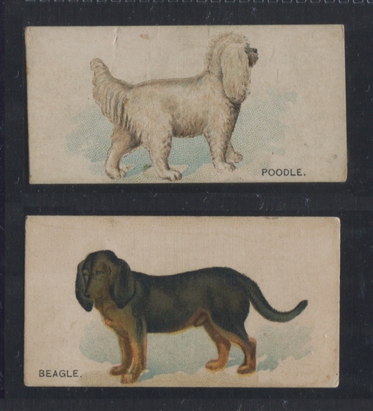  N163 Goodwin Cigarettes Dogs of the World Lot of (2) Cards