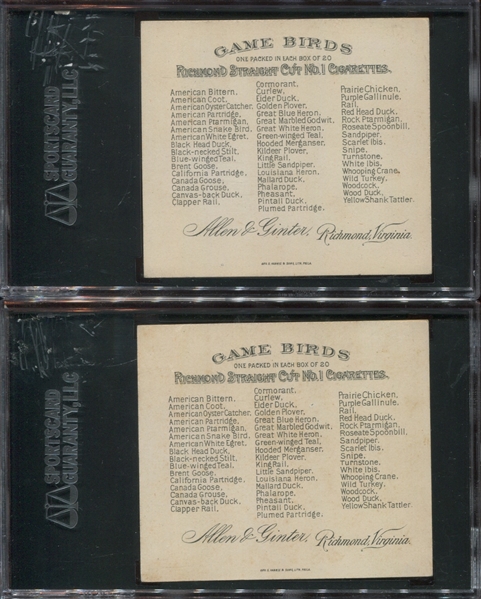 N40 Allen & Ginter Game Birds Lot of (2) Cards