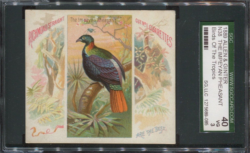 N38 Allen & Ginter Birds of the Tropics Impeyan Pheasant SGC40 VG