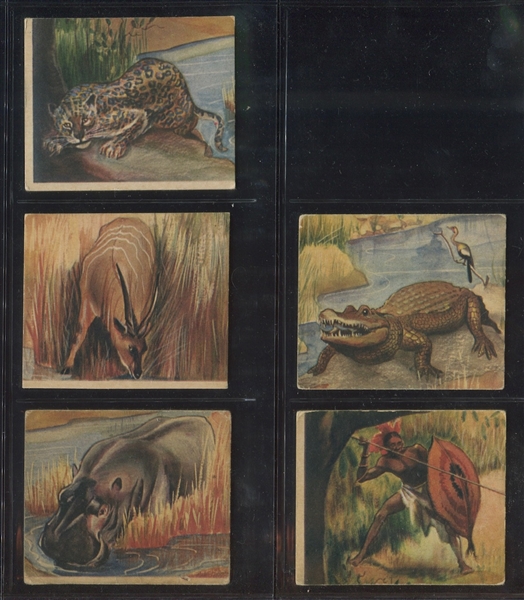 R6 National Licorice African Animal Jig Near Complete Set (23/24) Cards