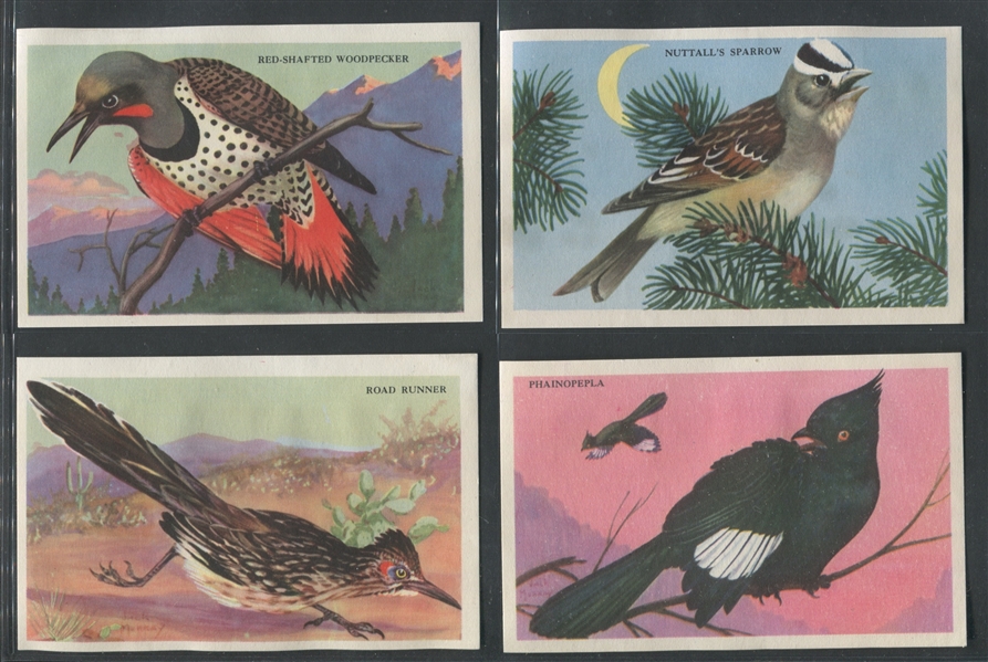 F274-3B Loma Linda Foods Beautiful Birds of the West Complete Set of (24) Cards