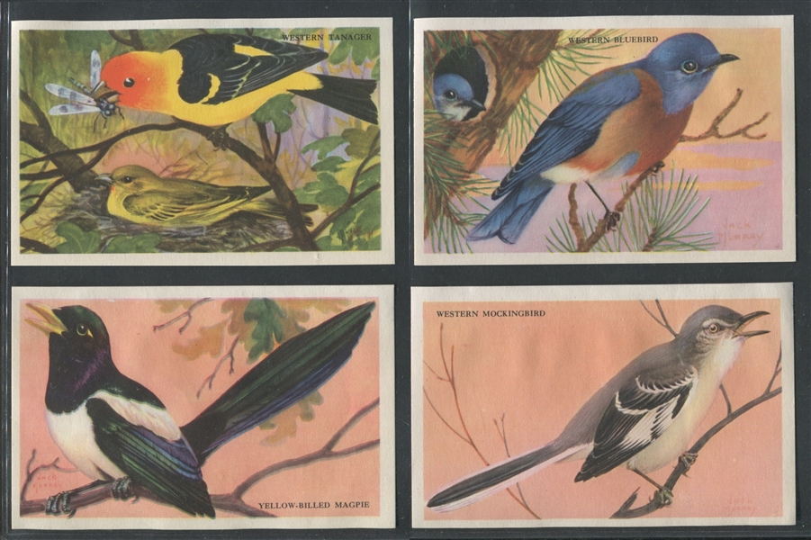 F274-3B Loma Linda Foods Beautiful Birds of the West Complete Set of (24) Cards