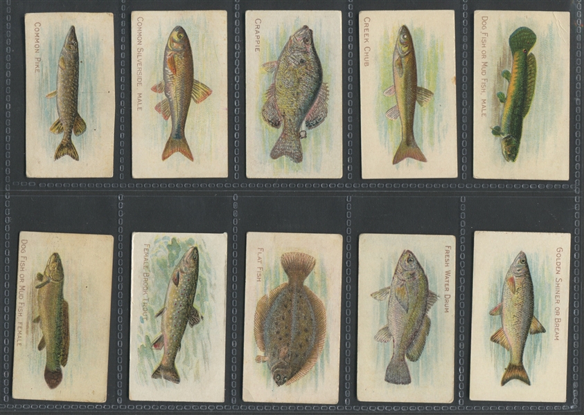 T58 Fish Series (Series II) Near Set (44/50) Cards