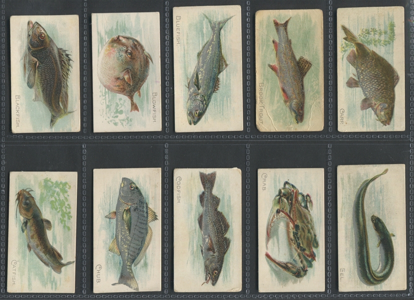 T58 Fish Series (Series I) Near Set (45/50) Cards