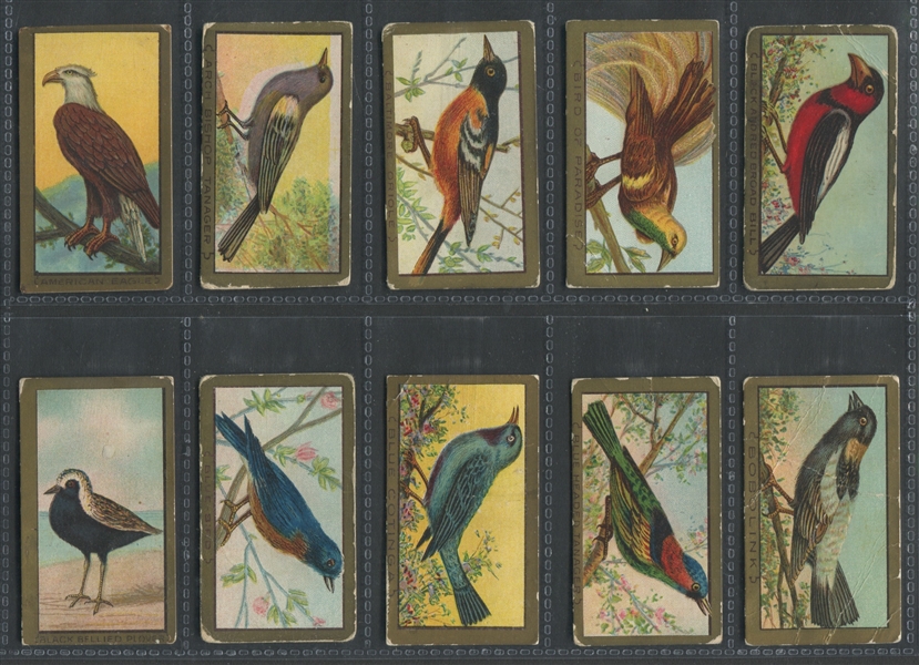 T42 Bird Series Mixed Back Complete Set of (100) Cards 