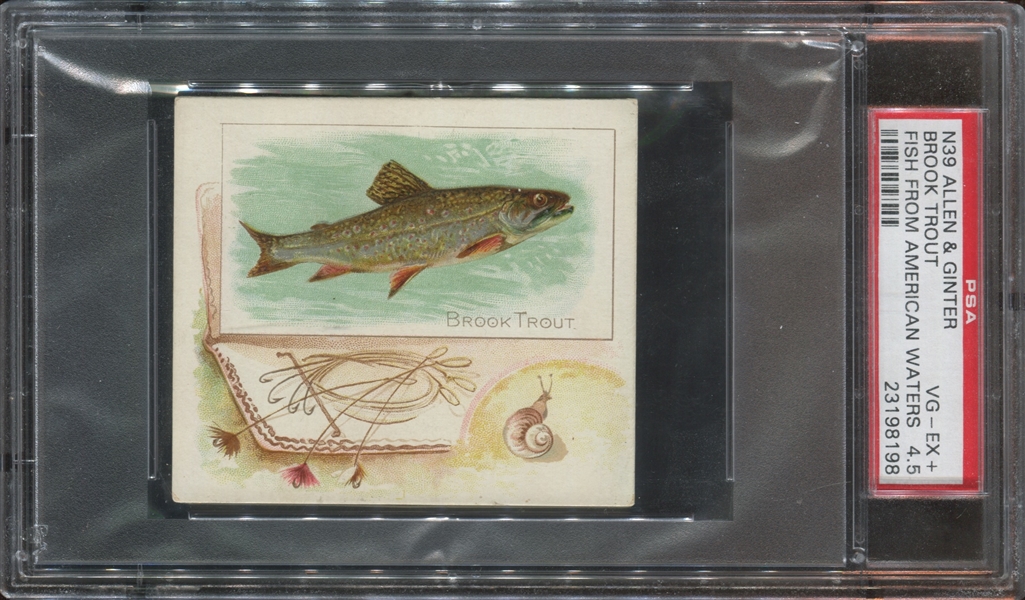 N39 Allen & Ginter Fish from American Waters Brook Trout PSA4.5 VG-EX+
