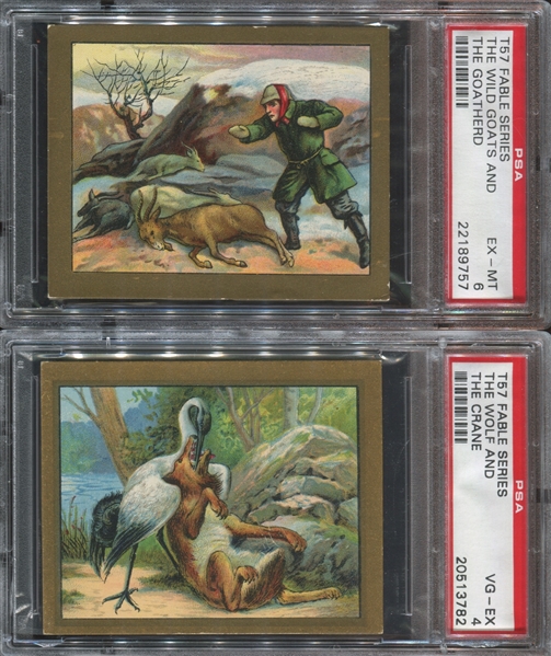 T57 Turkish Trophies Fable Series Lot of (4) PSA-Graded Cards