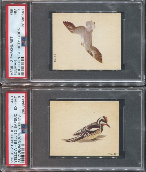 V339-2 Parkhurst Audubon Birds Lot of (5) PSA-Graded Cards