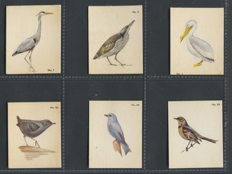 V339-2 Parkhurst Audubon Bird Cards Lot of (17) High Grade