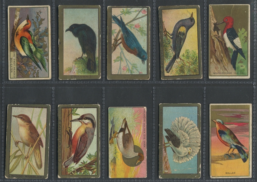 T42/T43 Bird Cards Mixed Lot of (87) Cards with American Beauty Type