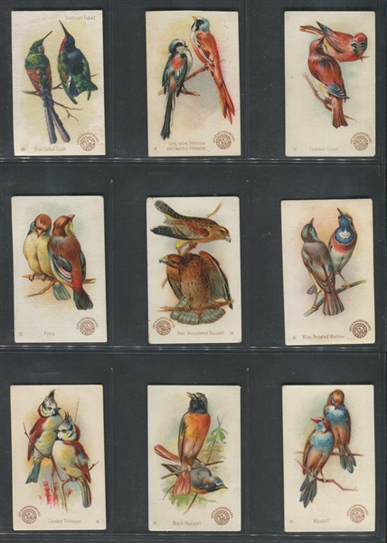J2 Church & Dwight Useful Birds (New Series) Near Set of (59/60) Cards
