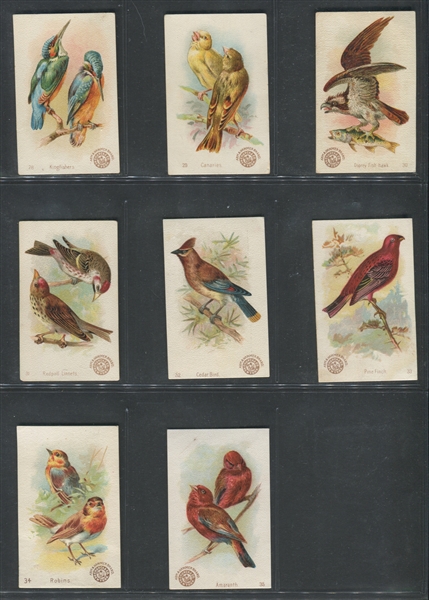 J2 Church & Dwight Useful Birds (New Series) Near Set of (59/60) Cards