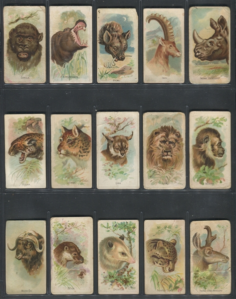 E29 Philadelphia Confections Zoo Caramels (Like A&G Wild Animals) Complete Set of (50) Cards