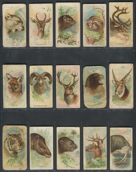 E29 Philadelphia Confections Zoo Caramels (Like A&G Wild Animals) Complete Set of (50) Cards