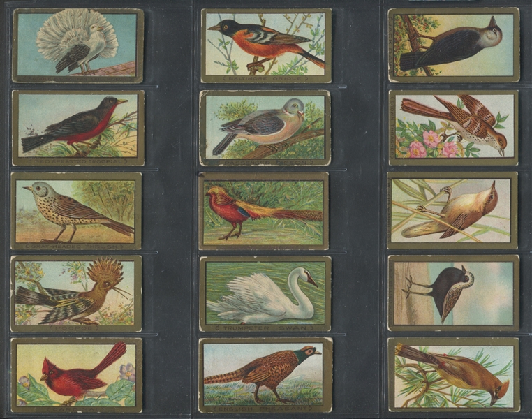 T42 Bird Series Mixed Back Gold Border Complete Set of (50) Cards w/Cycles