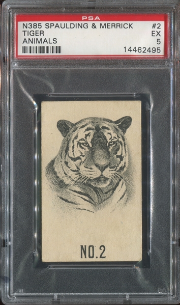 N385 Spaulding & Merrick Animals Tiger (Black Ink) PSA5 EX
