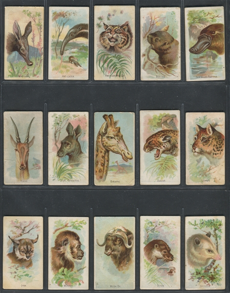 E29 Philadelphia Confections Zoo Caramels (like N25 Wild Animals) Lot of (27) Cards