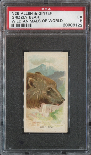 N25 Allen & Ginter Wild Animals of the World Grizzly Bear PSA5 EX