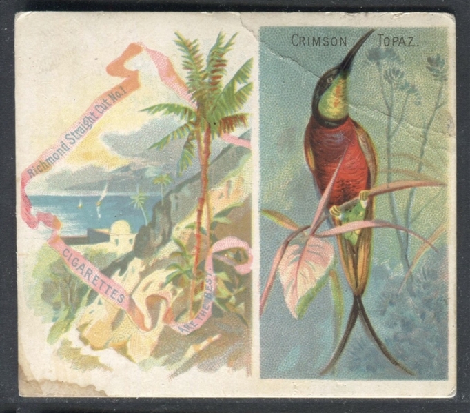 N38 Allen & Ginter Birds of the Tropics Lot of (2) Cards