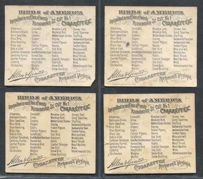 N37 Allen & Ginter Birds of America Lot of (27) Cards
