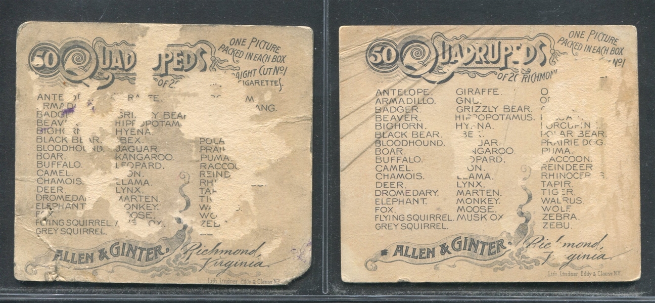 N41 Allen & Ginter Quadrupeds Lot of (6) Cards