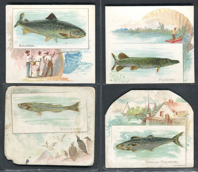 N39 Allen & Ginter Fish From American Waters Lot of (16) Cards