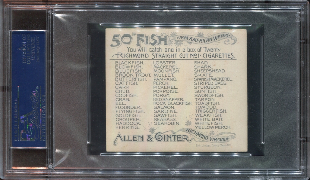 N39 Allen & Ginter Fish from American Waters Eel PSA5 EX
