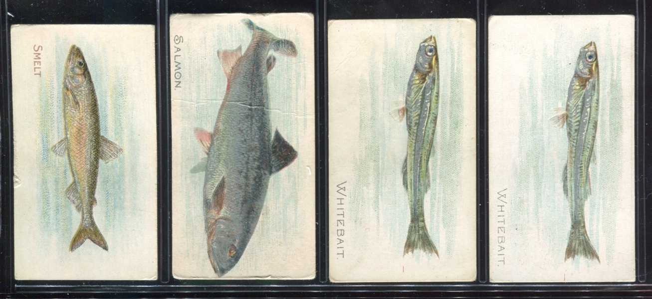 T58 Fish Series Lot of (19) Cards with (4) Sovereign Backs