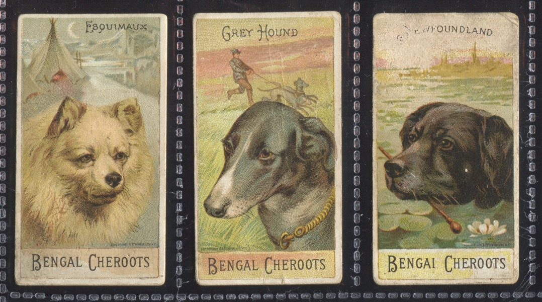 N375 Ellis Tobacco Breeds of Dogs Lot of (3) Cards