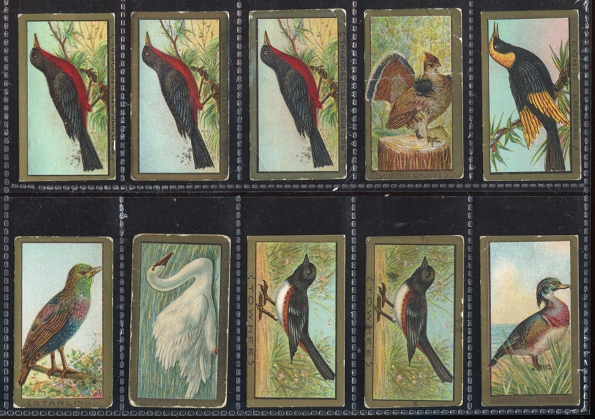 T42 Bird Series (Gold Border) Mixed Back Lot of (47) Cards