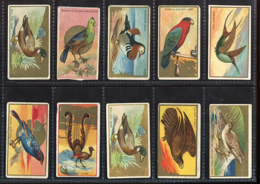 T42 Bird Series (White Border) Mixed Back Lot of (42) Cards