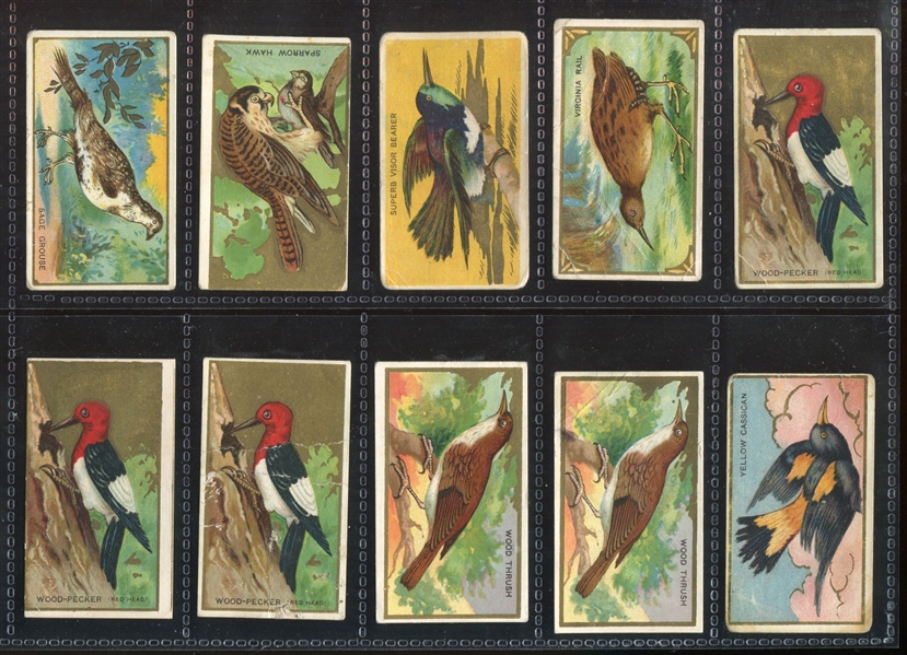 T42 Bird Series (White Border) Mixed Back Lot of (42) Cards