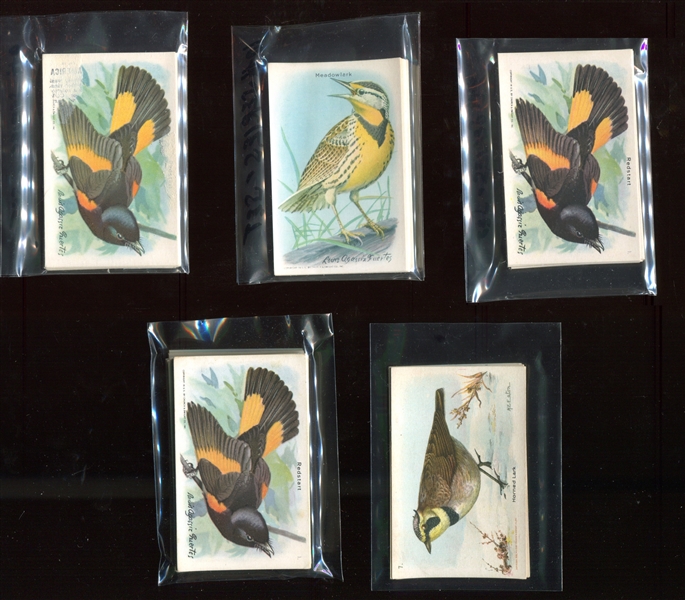 1920s-30s J Arm & Hammer Birds Cards Lot of (120+) Cards 