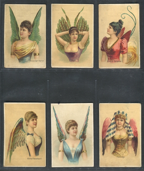 N312 Wm. G. Hills Wings of Birds/Plumage Complete Set of (15) Cards