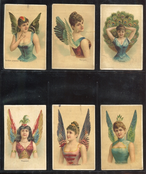 N312 Wm. G. Hills Wings of Birds/Plumage Complete Set of (15) Cards