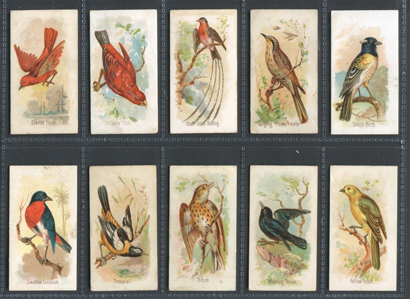 N23 Allen & Ginter Song Birds of the World Complete Set of (50) Cards